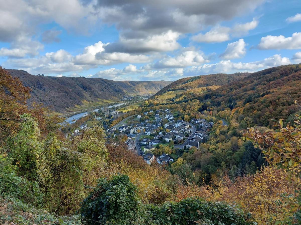 Ferienwohnung Meyver Cochem Bagian luar foto